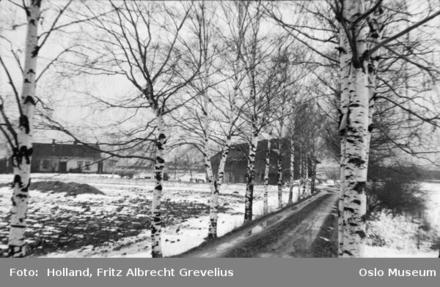 Volla gård ved Alnabru 1937 