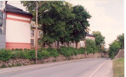 teisen skole fra teisenveien 1993