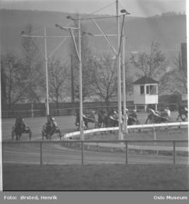 Bjerke travbane 1967 hest